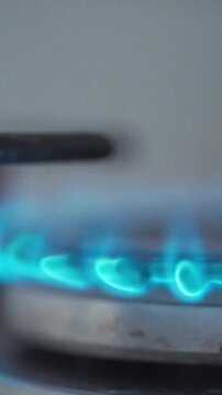 A gas stove burner on the stovetop in a kitchen produces a vivid blue flame, combustion of the gas creates steady heat for cooking, delivering the energy required for household meal preparation