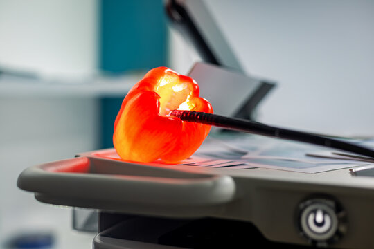 Ultrasound Probe Examining a Red Bell Pepper. Close-up of an ultrasound probe inserted into a red bell pepper on a medical imaging console.