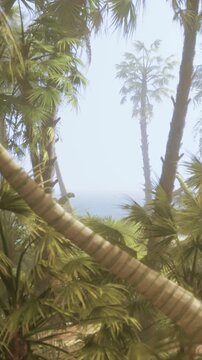 Green tropical plants and tall palm trees are visible near the ocean. The sun shines brightly in the sky, creating a warm atmosphere. Waves crash gently in the distance.