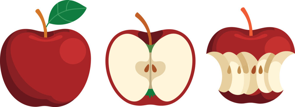 Red apple whole half and eaten core vector illustration.