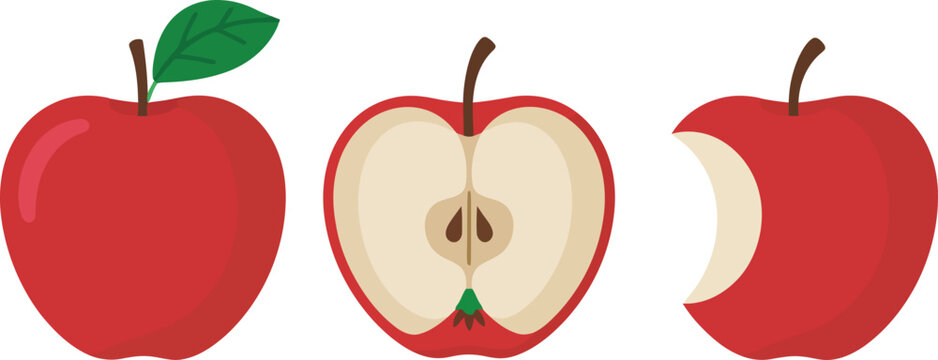 Red apple whole half and single bite vector illustration.