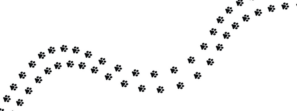 Seamless pattern with animal paw prints, dog or cat footprints, walking trail