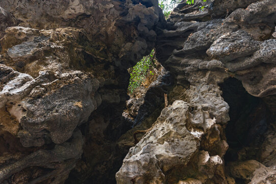 Detailed closeup of weathered limestone karst rocks in the Rammang-Rammang landscape of Maros, South Sulawesi, Indonesia
