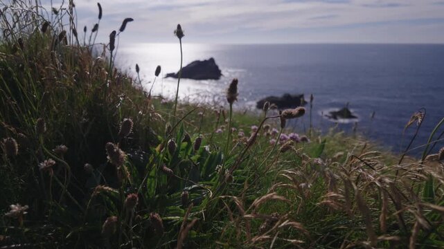 Views over the coastline from Pentre, Newquay, Cornwall, England during late afternoon, sun shimmering on the sea, Goose rock in the distance.