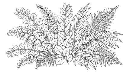 Fototapeta premium Botanical Fern and Eucalyptus Leaves Line Art Bouquet Coloring Page