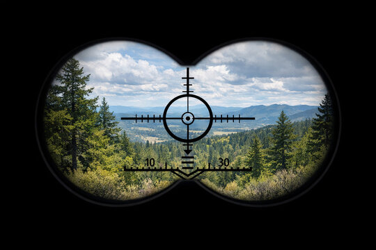 Sniper scope on forest scene