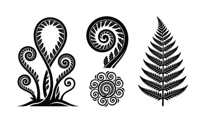 Fern Fronds in Monochrome Elegance: A set of stylized fern fronds, showcasing their intricate spiral growth and delicate leaf patterns in a striking black and white graphic design. © Basu Official 