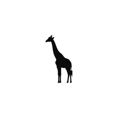 Fototapeta premium Black Giraffe Silhouette Illustration, African Wildlife Icon Isolated on White Background, Minimalist Tall Animal Vector Graphic for Safari and Nature Design Projects.