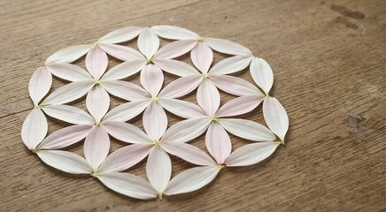 Fototapeta premium Sacred geometry flower of life pattern made of white flower petals. Floral mandala on wooden background