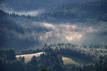 Poranek w beskidach © piotrwolak