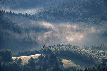 Poranek w beskidach © piotrwolak