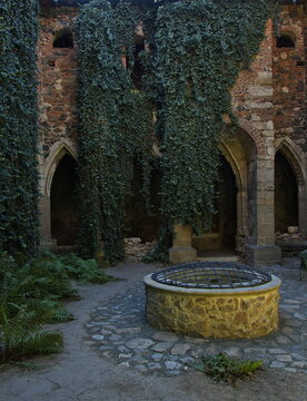 Ruin of the monastery "Rosa Coeli" in Dolni Kounice,Czech Republic,Europe
