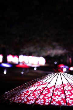 Tachikawa, Japan. July 11th 2024. a beautifully detailed wagasa (traditional Japanese umbrella) during the annual Autumn Night Walk event at Showa Kinen Park in Tachikawa, Tokyo.