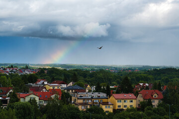 Tęcza i ptak nad panoramą Olsztyna © Krzysiek Cegiełka