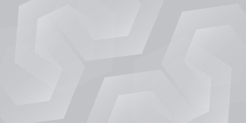 Fototapeta premium White abstract glowing geometric hexagon lines with technology digital hi-tech concept background
