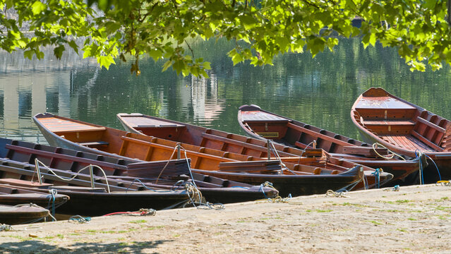 Stocherk&auml;hne warten auf einen Ausflug am Ufer des Flusses Neckar in T&uuml;bingen