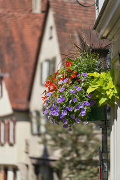 Blumen als Dekoration in der historischen Altstadt der Universit&auml;tsstadt T&uuml;bingen