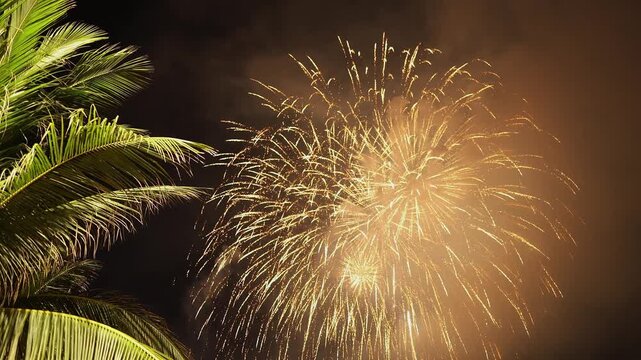 Fireworks explosion bursting in night sky with green palm tree leaves in foreground. Sharp pyrotechnic display in tropical resort, festive celebration background for news year eve party