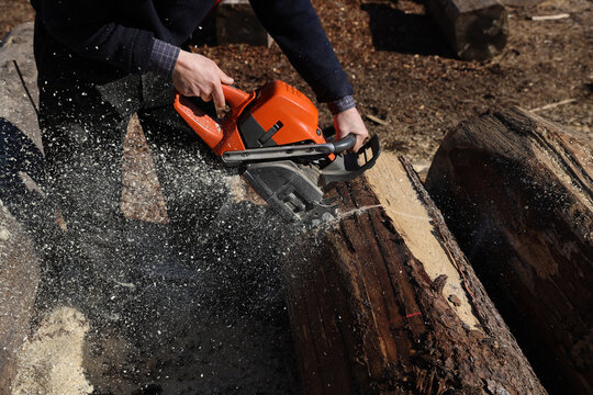 Forestry worker cutting a spruce log with a chainsaw in a traditional timber yard