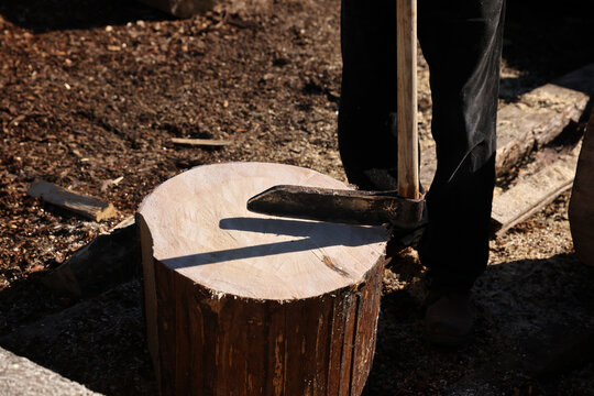 Forestry worker using a splitting maul on a spruce log in a traditional timber yard