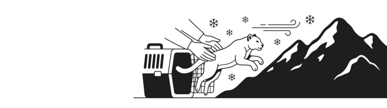 Releasing a Snow Leopard into the Wild for International Snow Leopard Day on October 23, 2026