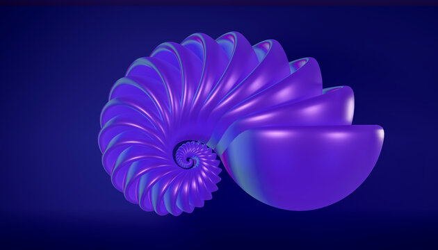 Purple spiral shell with colorful geometric shapes