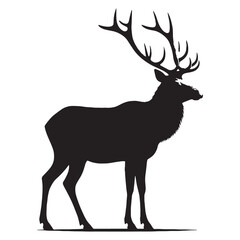 Fototapeta premium The elk is one of the largest members of the deer family. It lives in forests, mountains, and grasslands. Elk have strong legs and large antlers, which grow on the males. They eat grass, leaves.