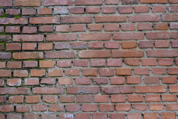 Fototapeta premium Rough Grey Old Brick Wall Texture Background