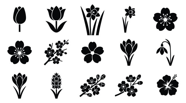 Spring flowers icon set featuring tulip daffodil cherry blossom crocus hyacinth and snowdrop vector silhouettes isolated on white background