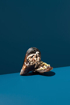 Two closed mussels with parasites on blue background