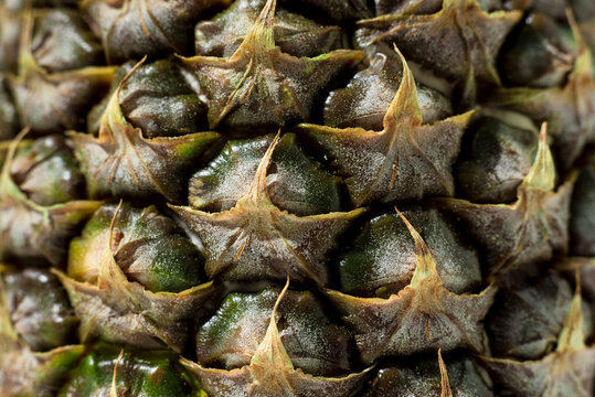 Macro texture of tropical pineapple fruit rind and scales