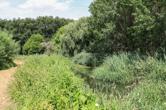 River Hiz In August - IMG_4819