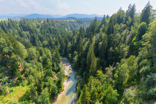 Ammer river flowing through lush forest gorge in Rottenbuch, Germany