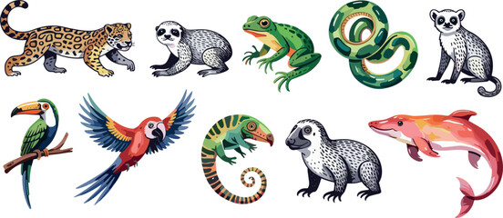 Fototapeta premium Exotic Rainforest Tropical Animal Vector Collection Featuring Jaguar Sloth Parrot Macaw Toucan Frog Chameleon Lemur and Dolphin Illustrations