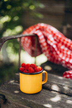 Fresh raspberry harvest in a yellow enamel mug outdoors