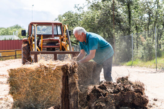 Senior farmer handle hay bale beside tractor on rural farm