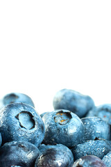 Macro shot of organic wild blueberries covered in fresh water droplets. Juicy blue berries stacked together  © Peresada