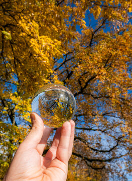 Hand hold crystal ball beneath autumn trees in Geneva