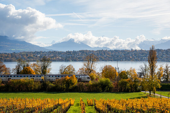 Sunny autumn view of Geneva Lake and vineyard train