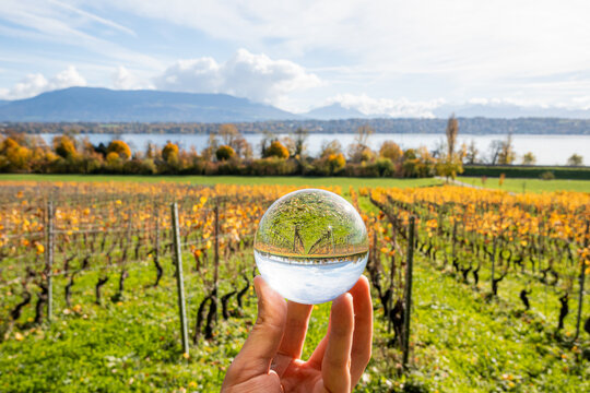Autumn vineyard landscape reflected in crystal ball, Geneva