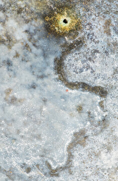 Patterns in deteriorating glaze, closeup