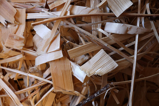 Spruce wood shavings and split wood offcuts from traditional handcrafted tavaillons production in the Haut-Jura, France