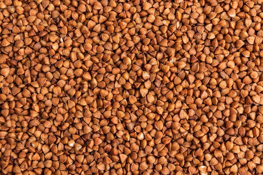 Close-up background of raw buckwheat groat texture