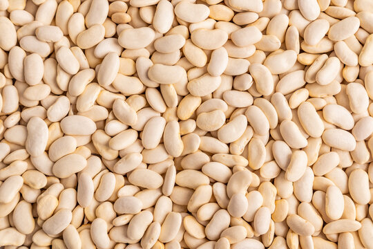 Close-up background of dried white bean texture pattern
