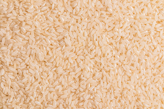 Close-up background of uncooked white rice grain texture