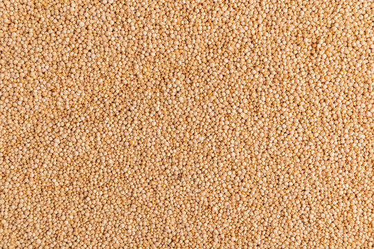 Close-up background texture of raw beige quinoa grain