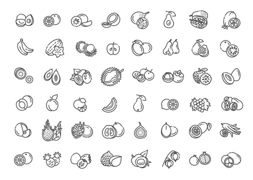 Fruits, exotic fruits, vegetarian outline icon set