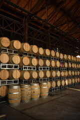 Barriles de vino de madera en bodega © Carolina