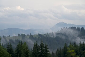 Naklejka premium After the rain: Misty Carpathian mountain range, scenic landscape