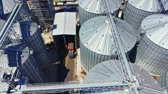 A truck moves between large silos at a grain storage facility. Workers manage equipment and check storage during the busy harvesting season. The scene captures the activity of a working farm.